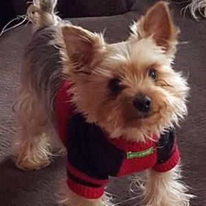 Meet your Posher, William